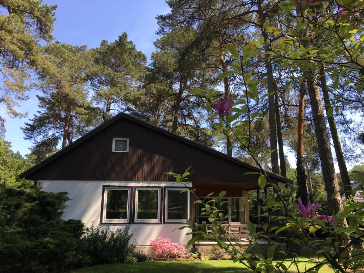 Komplettes Ferienhaus Potsdam Berlin Gaestehaus In Seenaehe 95Qm2 Monteurzimmer Ngoại thất bức ảnh