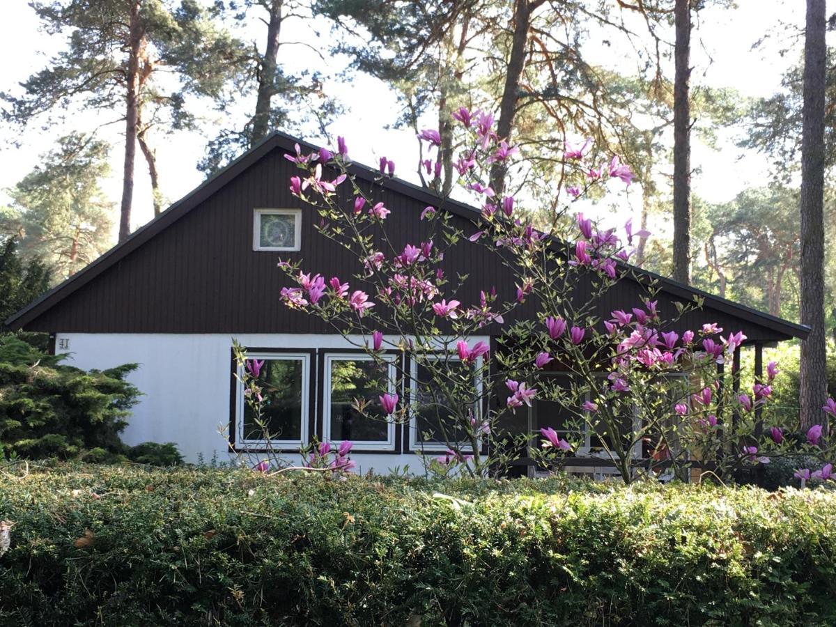 Komplettes Ferienhaus Potsdam Berlin Gaestehaus In Seenaehe 95Qm2 Monteurzimmer Ngoại thất bức ảnh